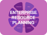 ERP-ICON